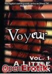A Little Kink Voyeur Vol. 1