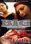 Big Trouble