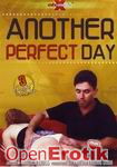 Another Perfect Day