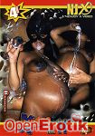 Enjoy X Video Vol. 11 (Enjoy X Video)