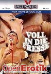 Voll in die Fresse (Create-X Production) Voll in die Fresse (Create-X Production)