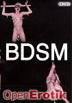 BDSM (Horny Heaven)