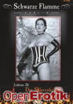 Der Sklavenkeller (Inflagranti - Schwarze Flamme 26)