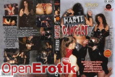 Harte Gangart 4 
