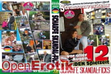 12 Stunden Scharfe Skandal-Ficks - 4 DVDs