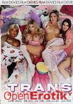 Trans Slumber Party (Devils Film) Trans Slumber Party (Devils Film)