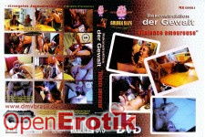 Rekonstruktion der Gewalt - Violence Amoureuse