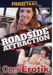 Roadside Attraction (Fake Taxi) Roadside Attraction (Fake Taxi)
