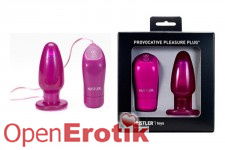 Provocative Pleasure Plug - Pink