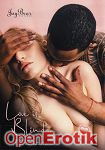 Love is Blind (Joy Bear Pictures) Love is Blind (Joy Bear Pictures)