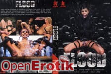 Flood