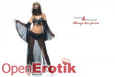 Belly Dancer Kostüm Gr.One Size