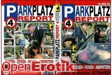 Parking Report 4