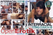 Interracial  Casting Couch Vol. 18