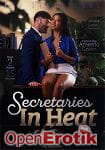 Secretaries in Heat - over 2 Hours (New Sensations) Secretaries in Heat - over 2 Hours (New Sensations)