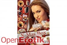 Erotisches Weihnachts-Paket 2  10-teilig!