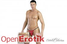 Herren Rio rot M/L