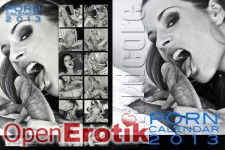 Porn Kalender 2013