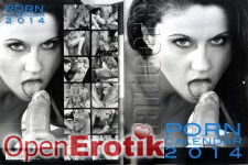 Porn Kalender 2014