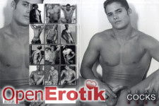 Real Cocks Kalender 2024
