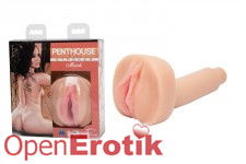 Calendar Girl CyberSkin Stroker March - Roxy Jezel