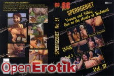 Sperrgebiet Vol. 37 - Yvonne und Silvia Teil 3