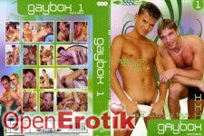 Gaybox 1 - 3 DVDs