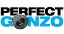 Perfect Gonzo  Perfect Gonzo
